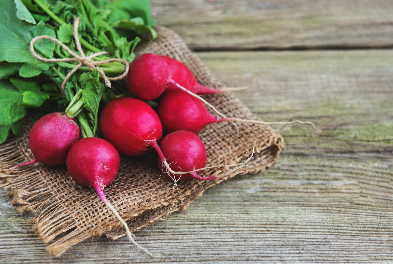 Radishes Health Benefits and Versatility — The Doctors Kitchen